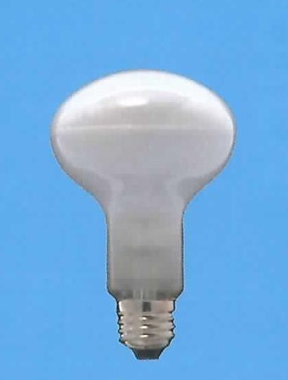 110V100WR80E26(NF)〔旭光電機〕